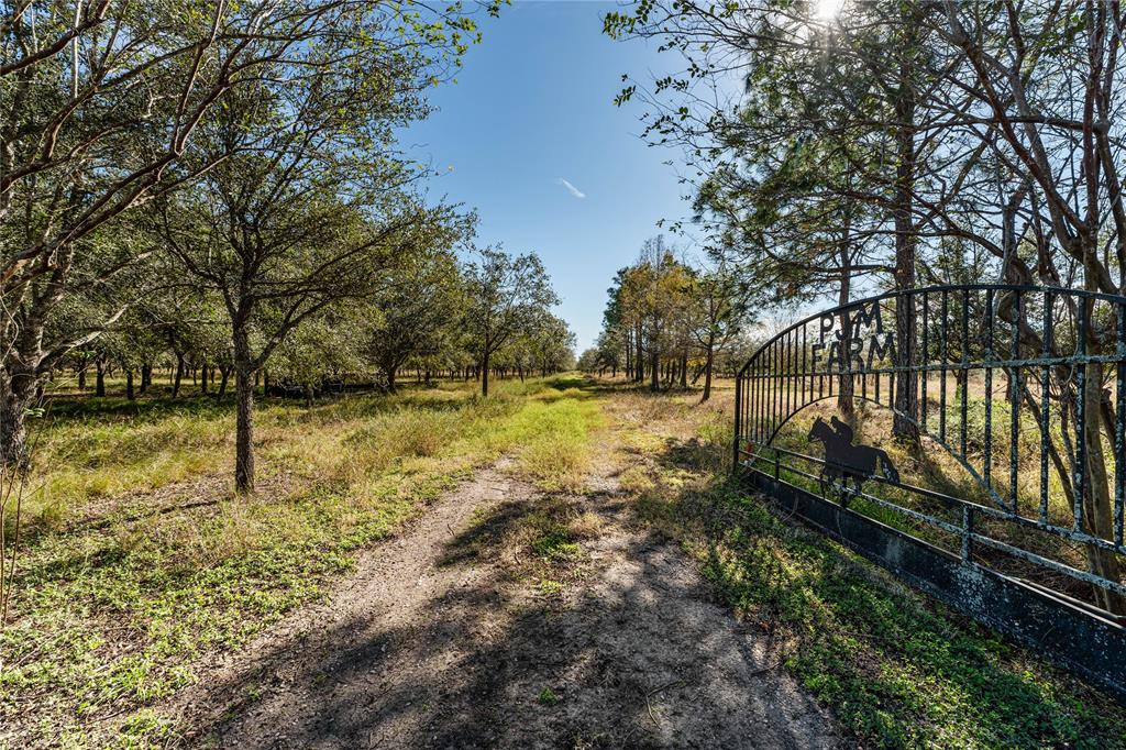 Tract 4 Fm 1462 Road, Damon, Texas image 20