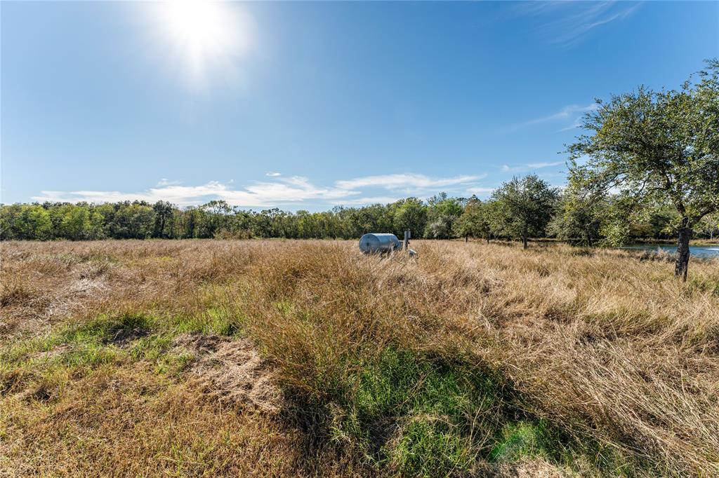 Tract 4 Fm 1462 Road, Damon, Texas image 31