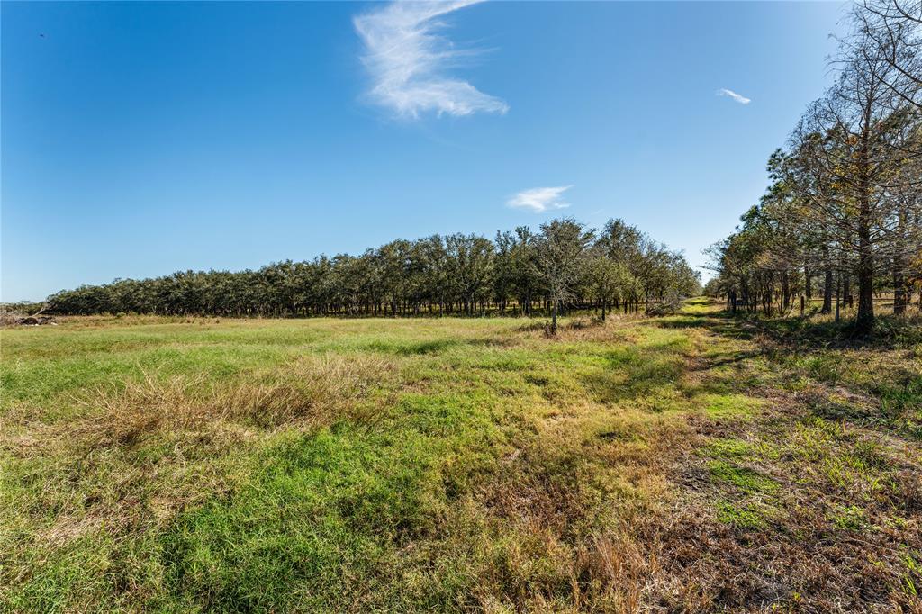 Tract 4 Fm 1462 Road, Damon, Texas image 18