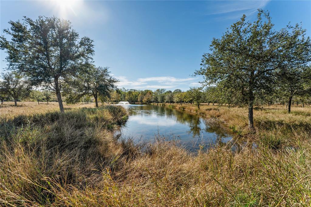 Tract 4 Fm 1462 Road, Damon, Texas image 28