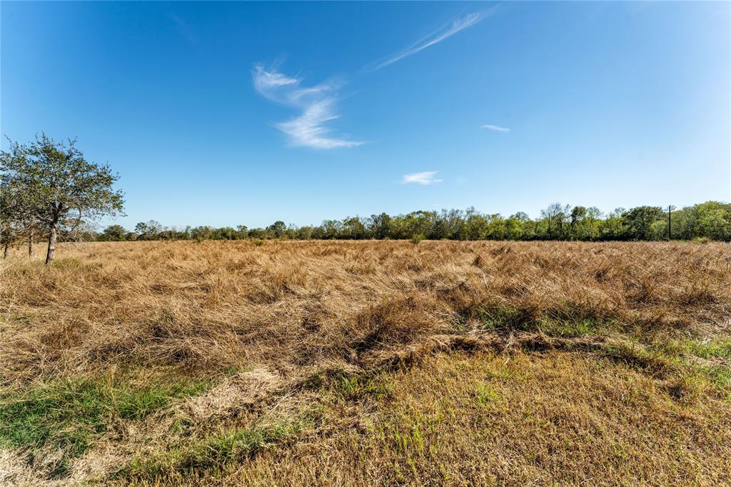 Tract 4 Fm 1462 Road, Damon, Texas image 30