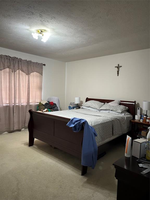 16203 Rapidcreek Drive, Houston, Texas image 10