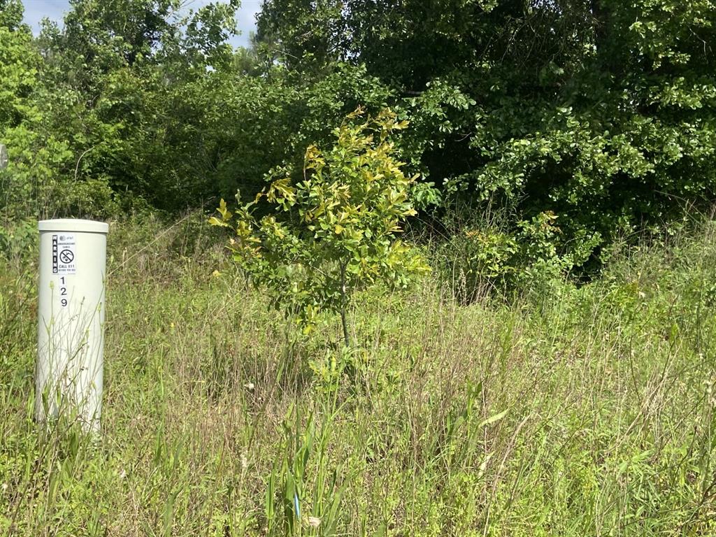 129 Road 5262, Cleveland, Texas image 6
