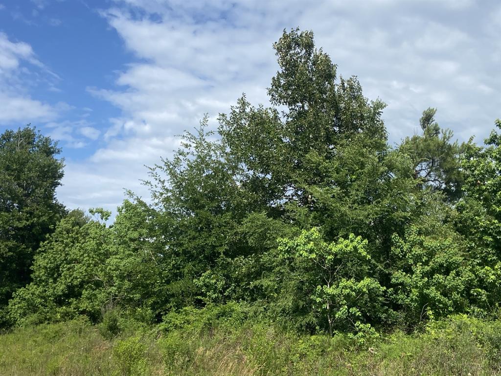 129 Road 5262, Cleveland, Texas image 1