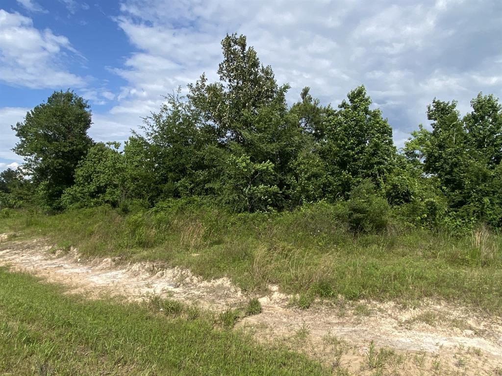 129 Road 5262, Cleveland, Texas image 3