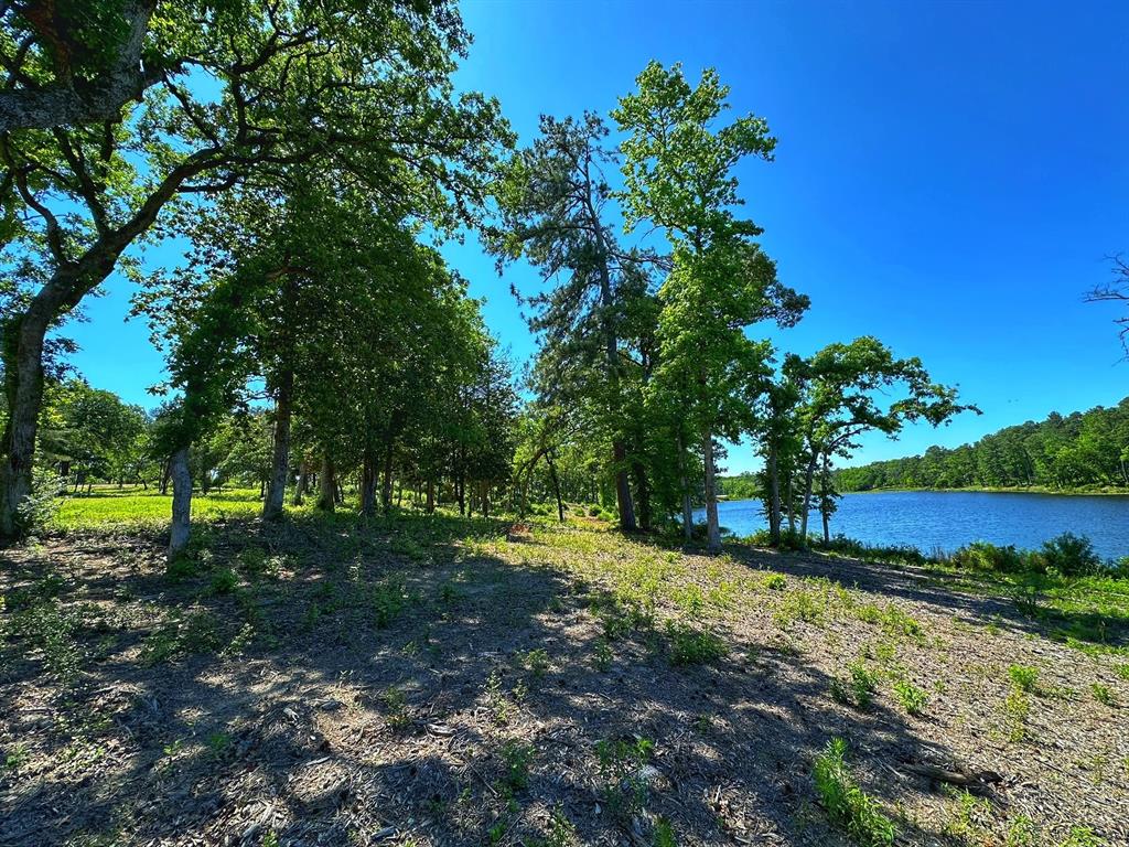 Tract 152 Pr 1311, Centerville, Texas image 2