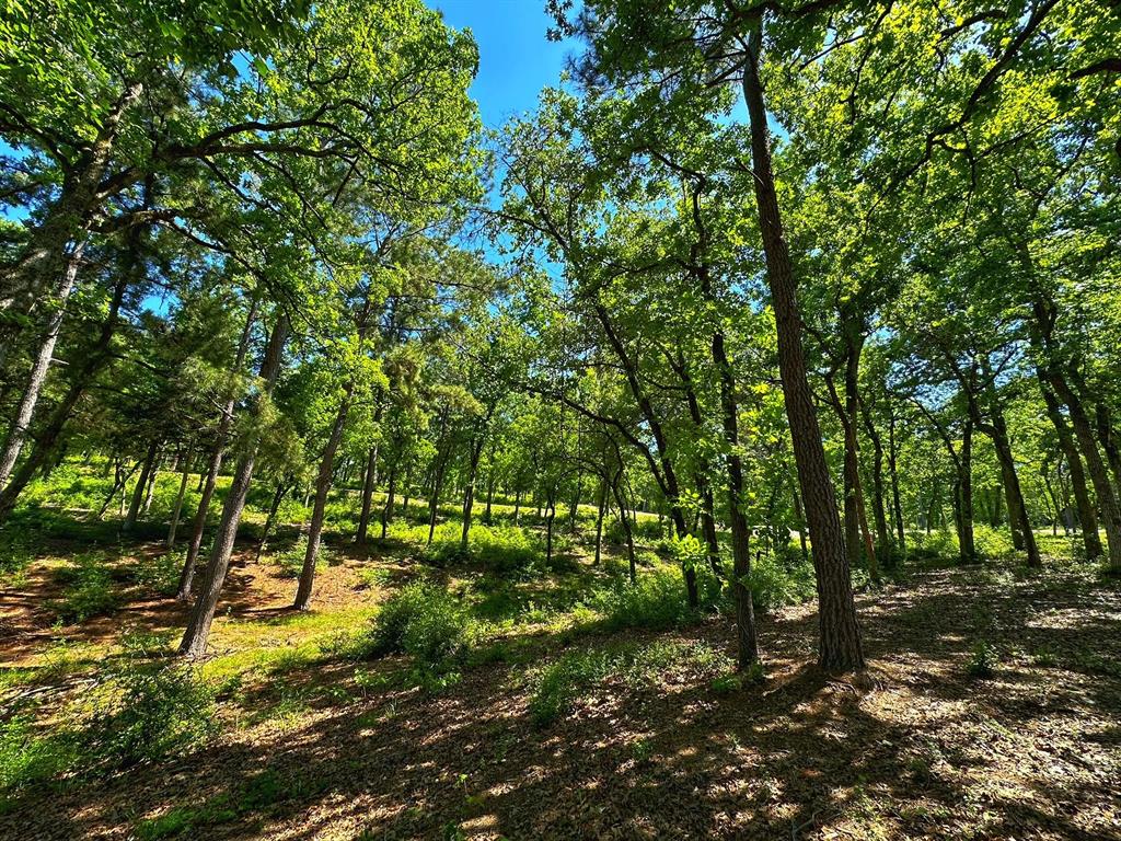 Tract 152 Pr 1311, Centerville, Texas image 4