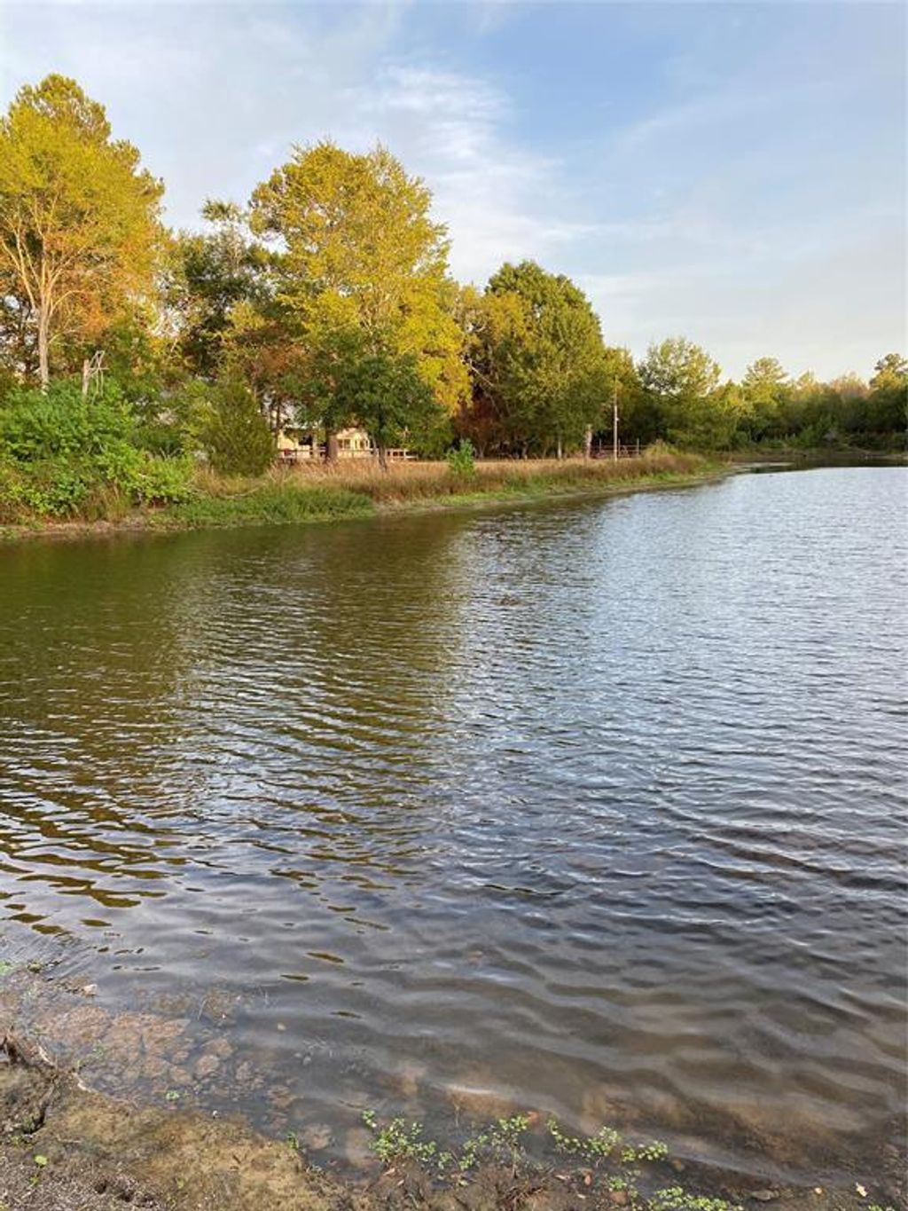 listing image 47