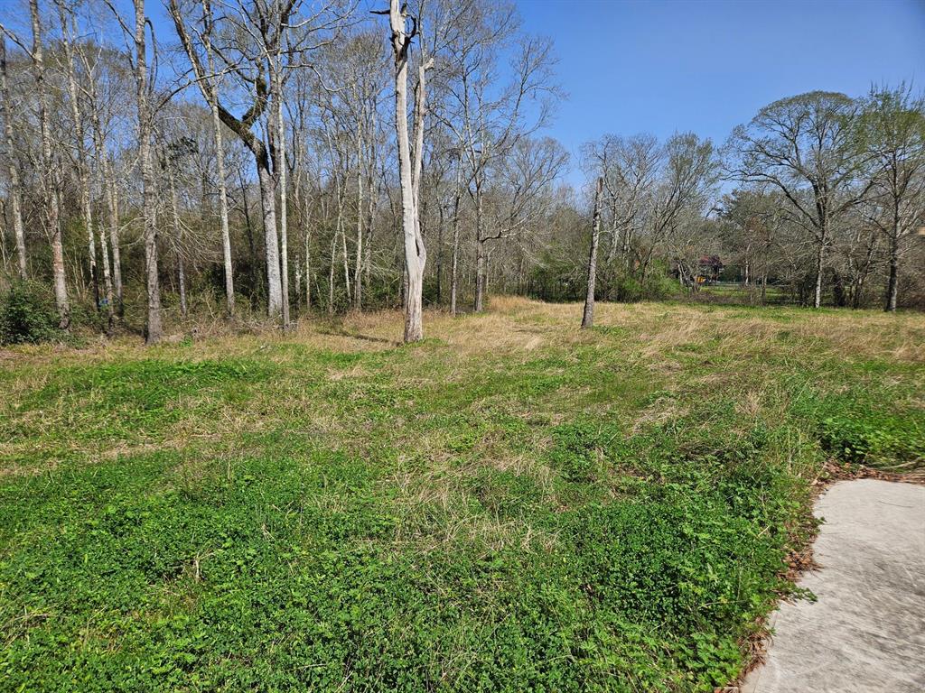 00 CR377 Patricia Lane, Alvin, Texas image 9