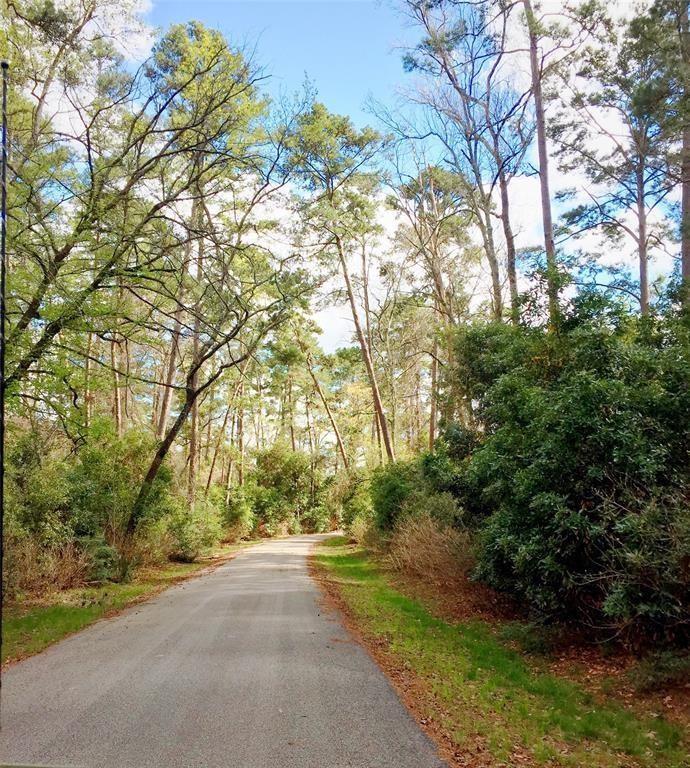 542 Black Creek Trail, Conroe, Texas image 8
