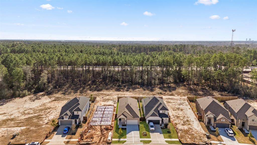 13038 Brookwood Bend Lane, Conroe, Texas image 27
