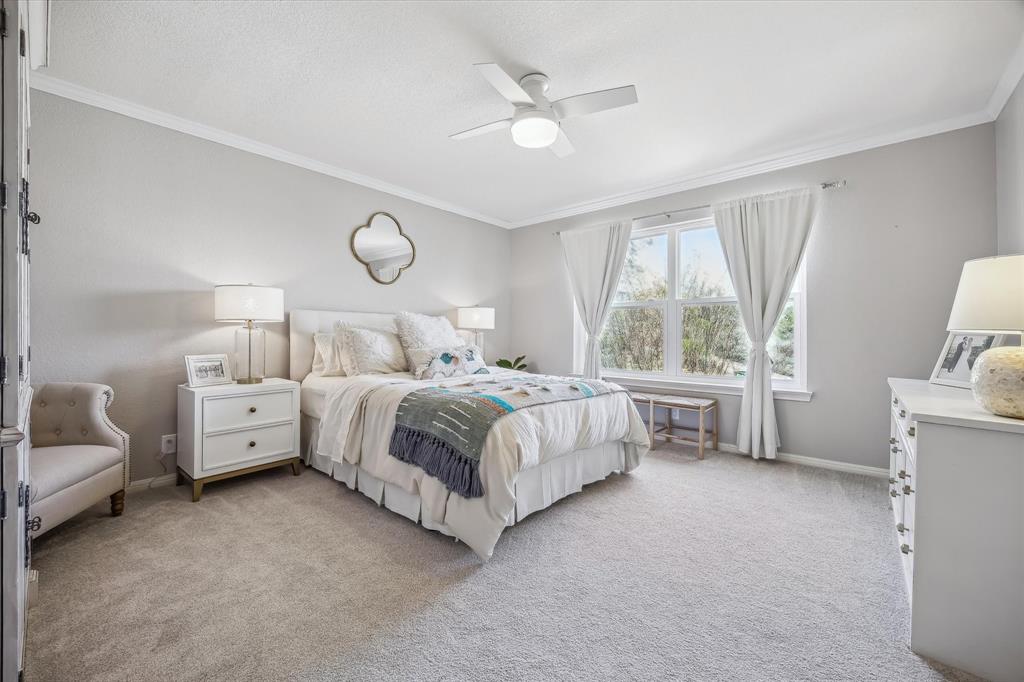 103 Peterson Court, Austin, Texas image 20