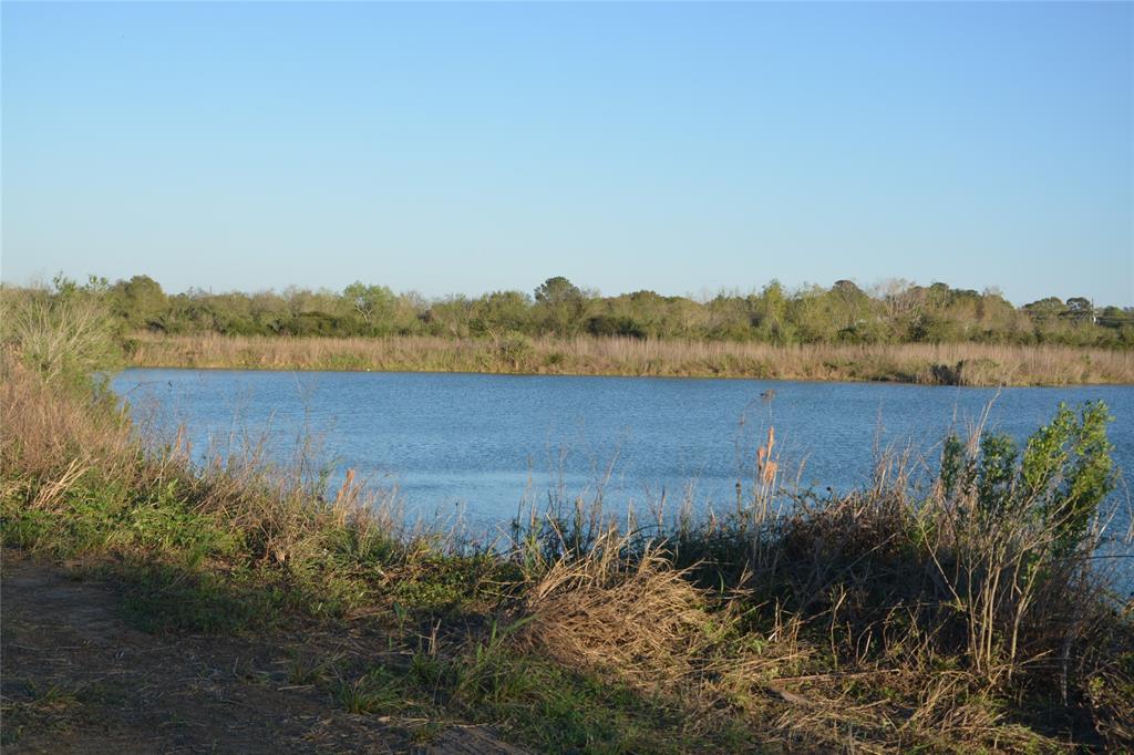 Jasmine Street, Fresno, Texas image 2