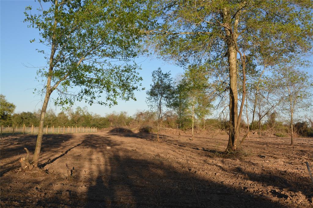 Jasmine Street, Fresno, Texas image 8