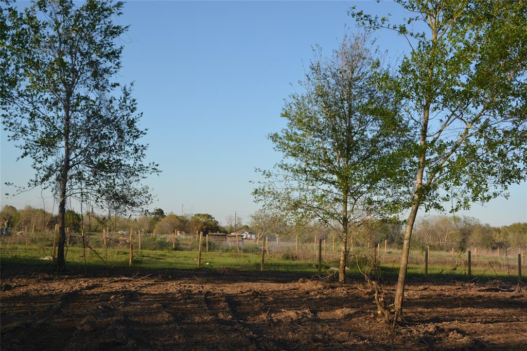 Jasmine Street, Fresno, Texas image 7