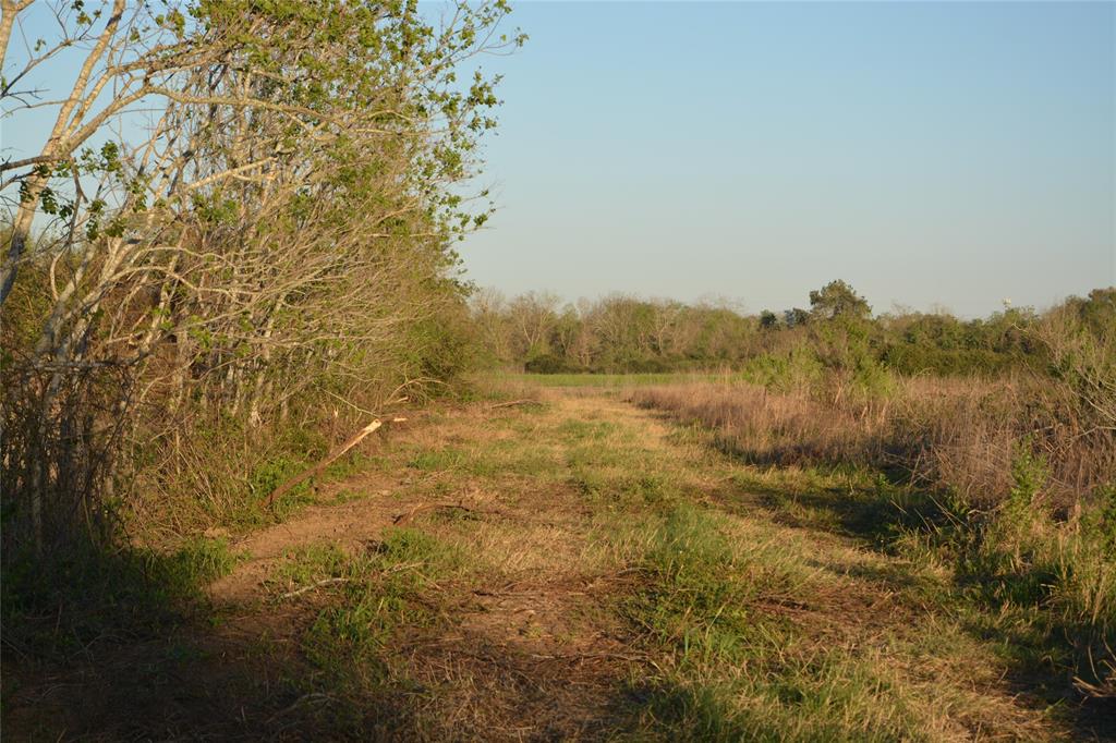 Jasmine Street, Fresno, Texas image 27