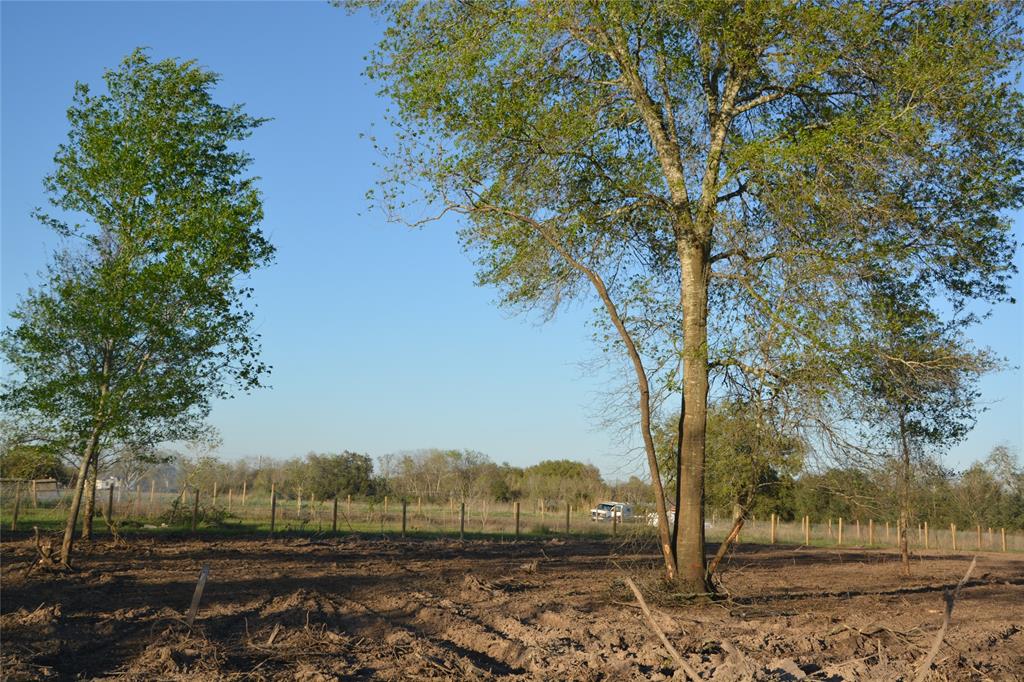 Jasmine Street, Fresno, Texas image 5