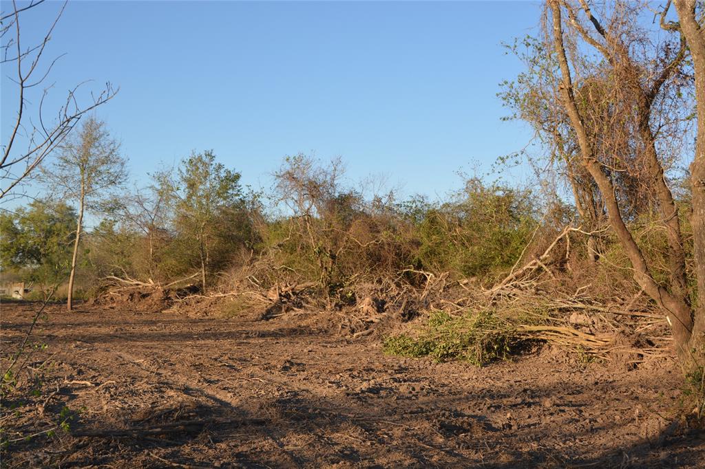 Jasmine Street, Fresno, Texas image 17