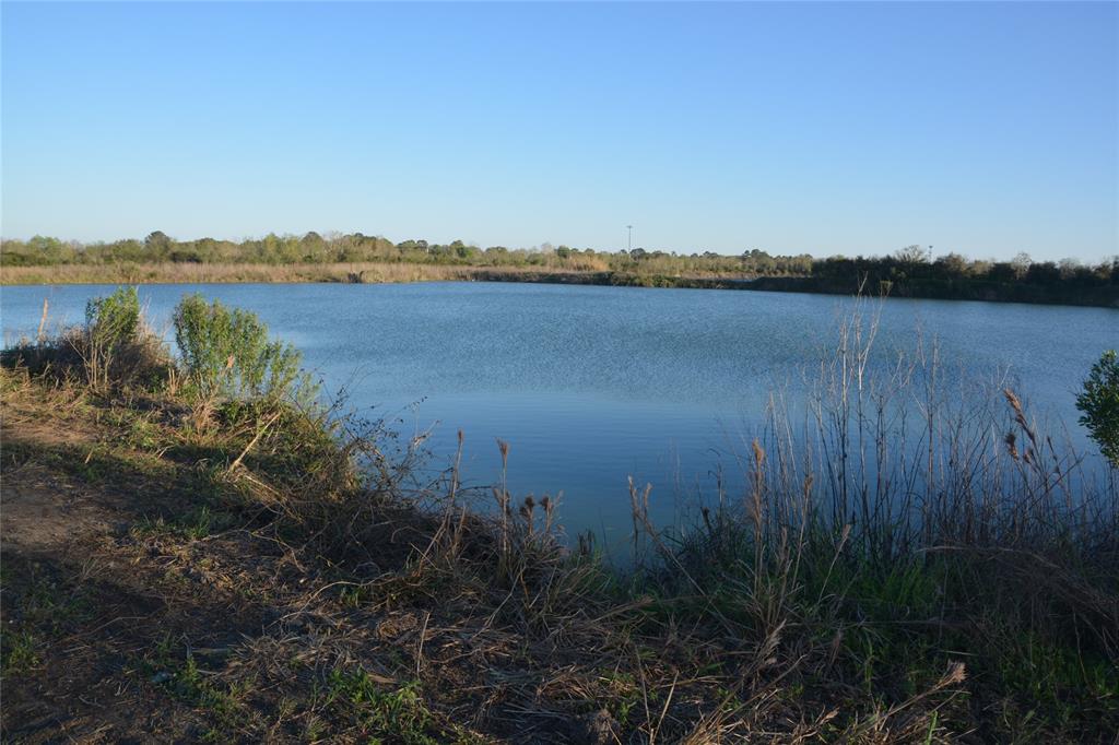 Jasmine Street, Fresno, Texas image 1