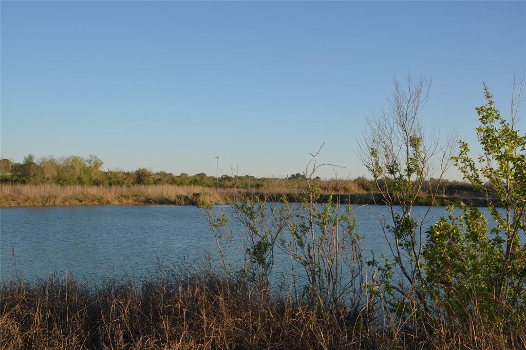 Jasmine Street, Fresno, Texas image 18