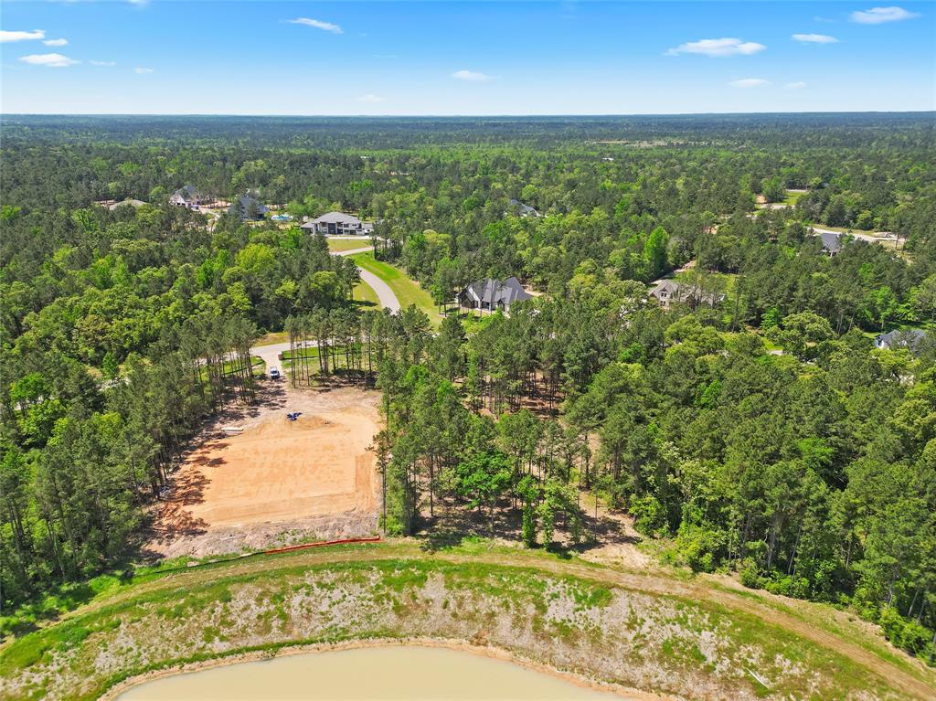 7520 High Meadow Ridge Drive, Montgomery, Texas image 9