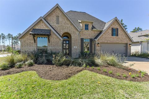 203 Sunrise Canvas Drive Conroe TX 77318