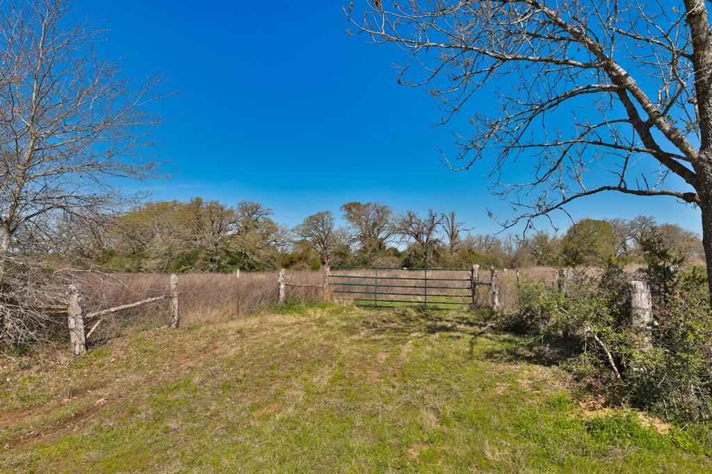 21100 Telephone Road, Hempstead, Texas image 4