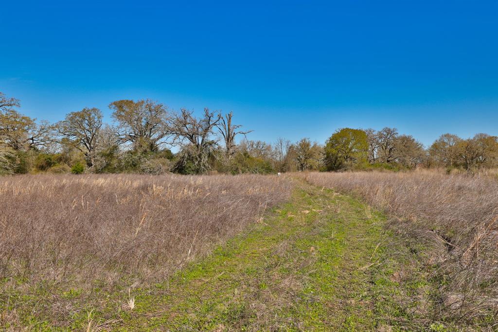 21100 Telephone Road, Hempstead, Texas image 28