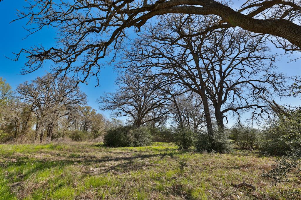 21100 Telephone Road, Hempstead, Texas image 2