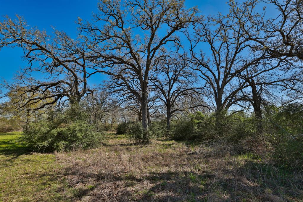 21100 Telephone Road, Hempstead, Texas image 15