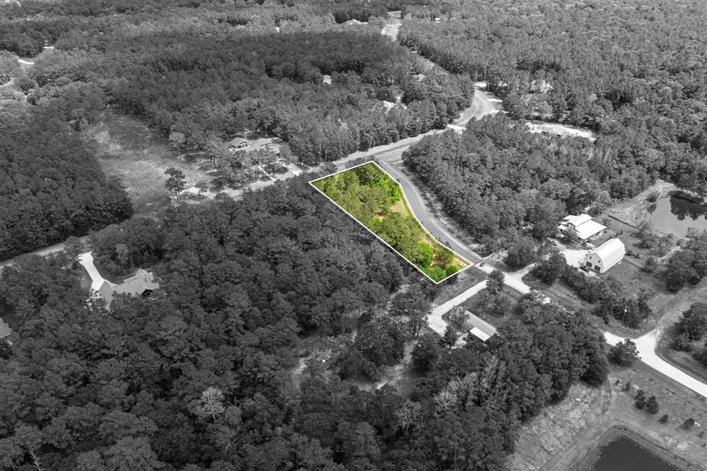 30099 Round Up Drive, Waller, Texas image 10