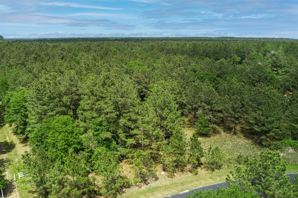 30099 Round Up Drive, Waller, Texas image 5