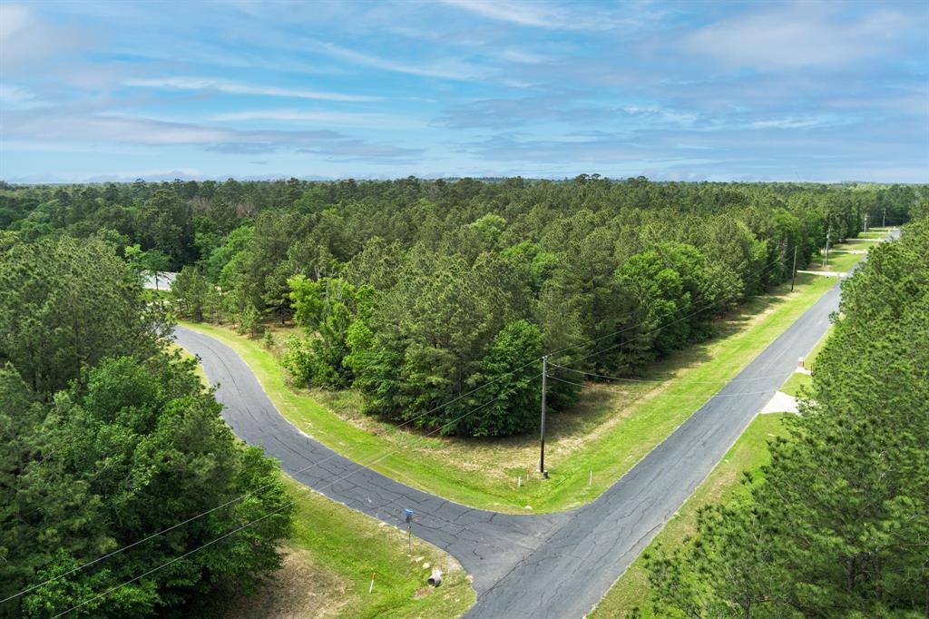 30099 Round Up Drive, Waller, Texas image 3