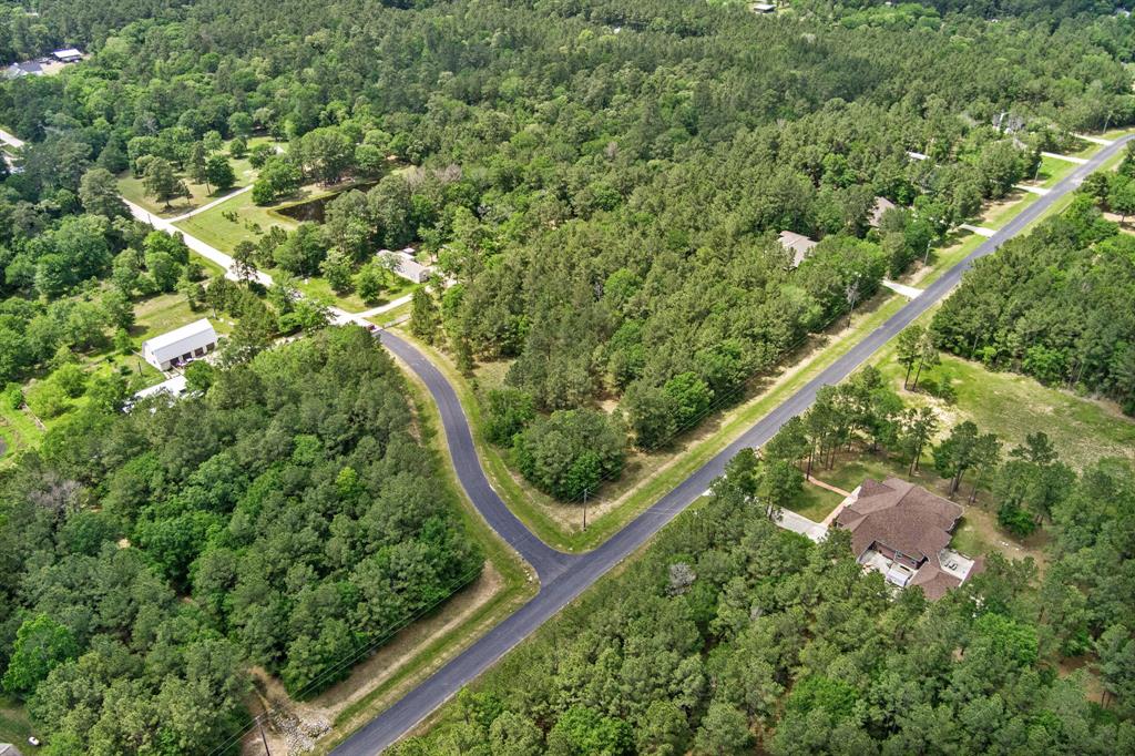 30099 Round Up Drive, Waller, Texas image 8
