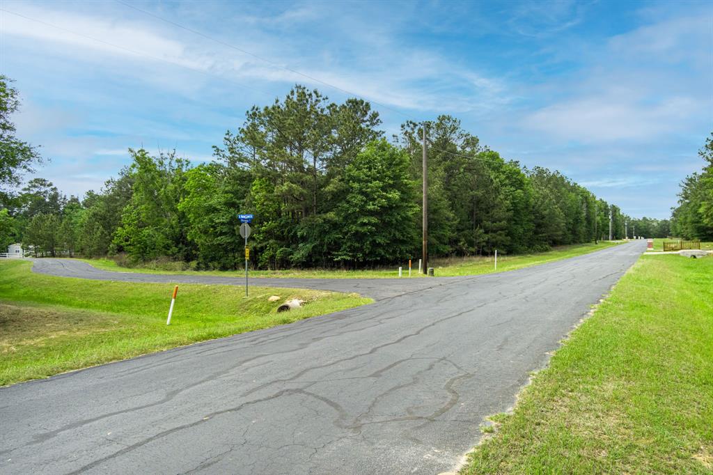 30099 Round Up Drive, Waller, Texas image 4