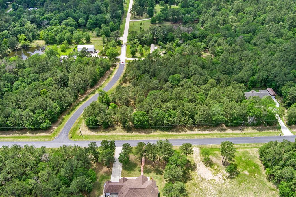 30099 Round Up Drive, Waller, Texas image 6