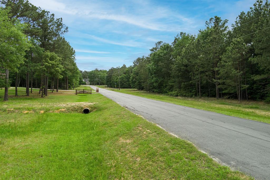 30099 Round Up Drive, Waller, Texas image 1