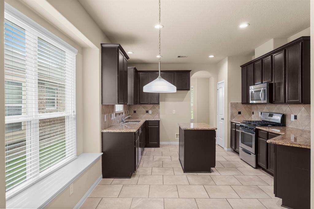 20119 Ray Falls Drive, Tomball, Texas image 5