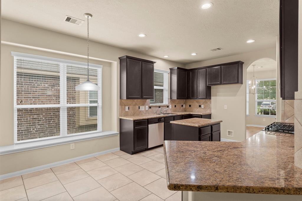 20119 Ray Falls Drive, Tomball, Texas image 6