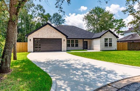 16507 Horizon Drive Crosby TX 77532