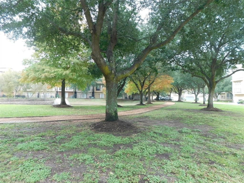listing image 45