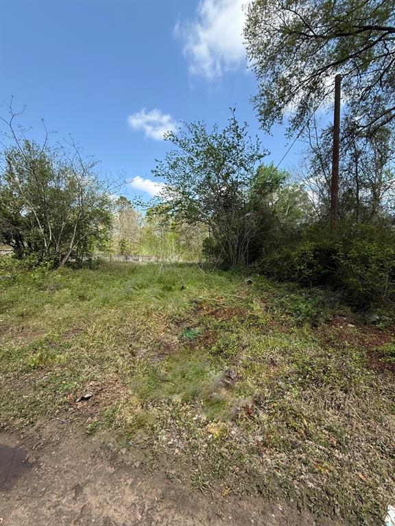 329 County Road 3600, Splendora, Texas image 3