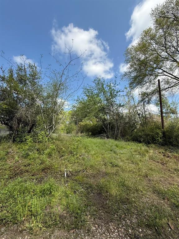 329 County Road 3600, Splendora, Texas image 4