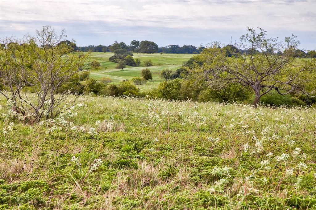 13041 Seydler Rd, Weimar, Texas image 8