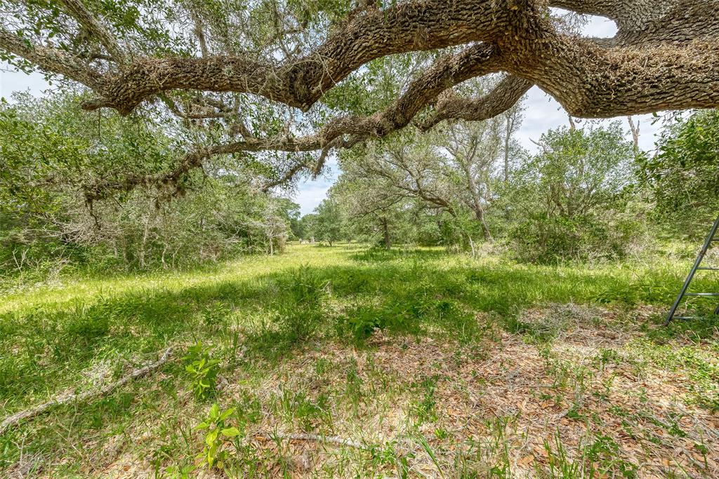 1714 Oakridge Road, Weimar, Texas image 24