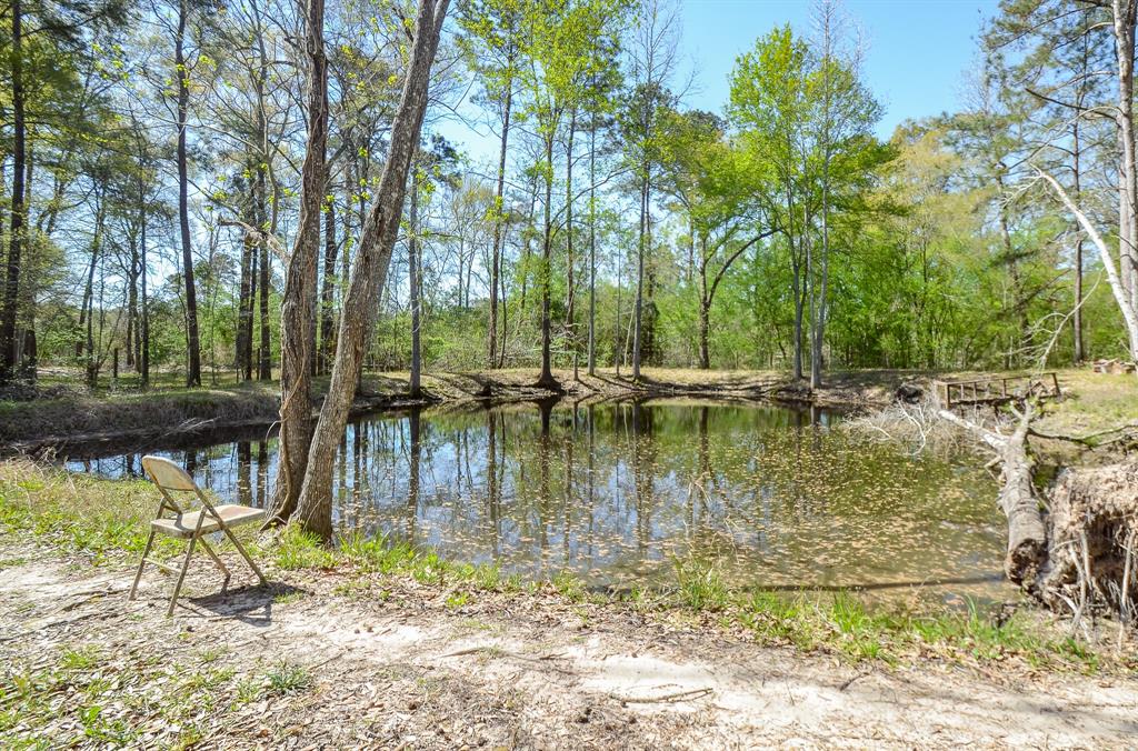 18824 Deer Glen Drive, Conroe, Texas image 32