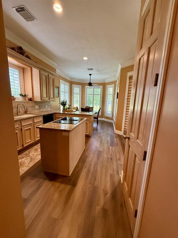 222 W Castle Harbour Drive, Friendswood, Texas image 12