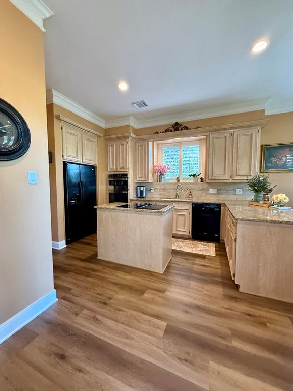 222 W Castle Harbour Drive, Friendswood, Texas image 10
