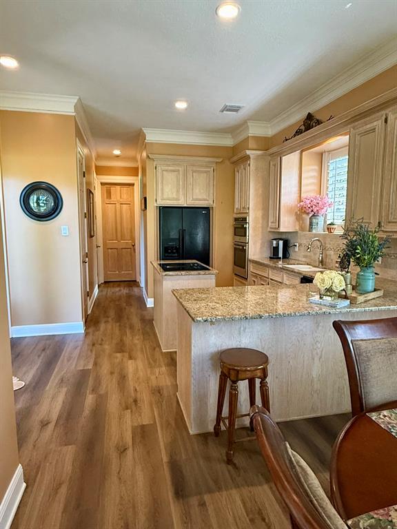 222 W Castle Harbour Drive, Friendswood, Texas image 11