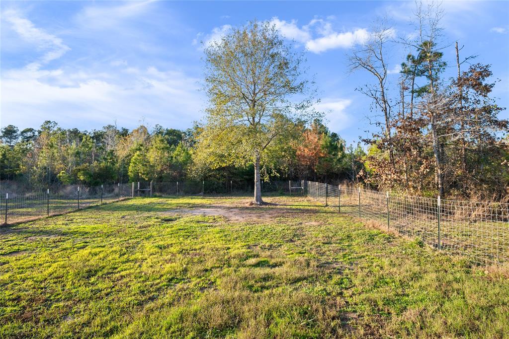 1193 Felix Currie Road, Oakhurst, Texas image 6